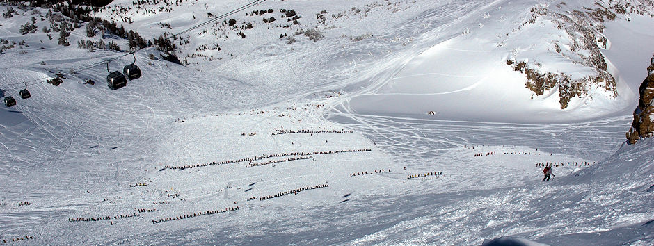 This picture shows the size of the rescue response