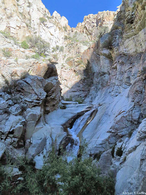 Ops 13-466 Boundary Peak SAR - June 12, 2013 - Morris Creek