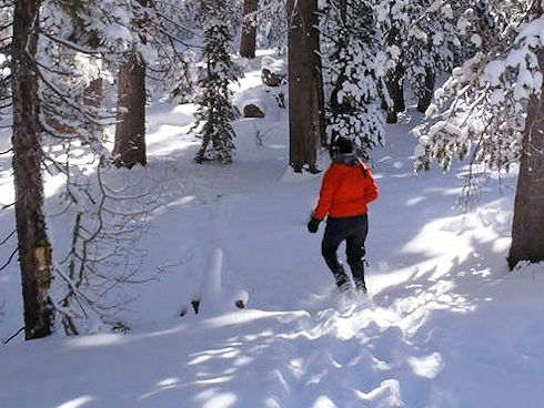 Christina on a search problem