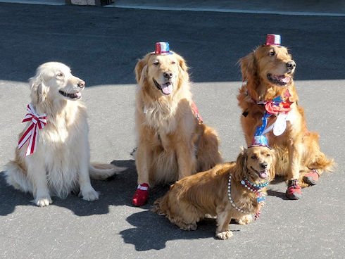 2016 Fourth Of July Parade