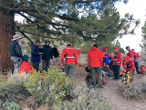 Preparing the subject for transport via wheeled litter. Image by M. Quiring