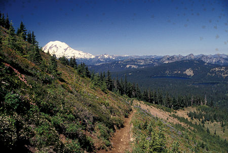 Flowers, Mt. Rainier, Twin Sister Lakes on trail down from Tumac Mountain, William O. Douglas Wilderness, Washington