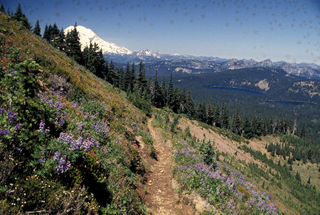 Mt. Rainier and Twin Sister Lakes from Tumac Mountain trail, William O. Douglas Wilderness, Washington