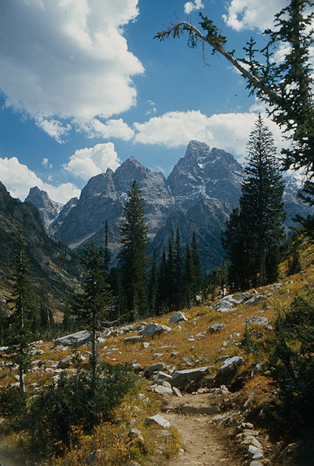 Grand Teton from North Fork Cascade Creek - Grand Teton National Park 1977 Grand Teton from North Fork Cascade Creek - Grand Teton National Park 1977