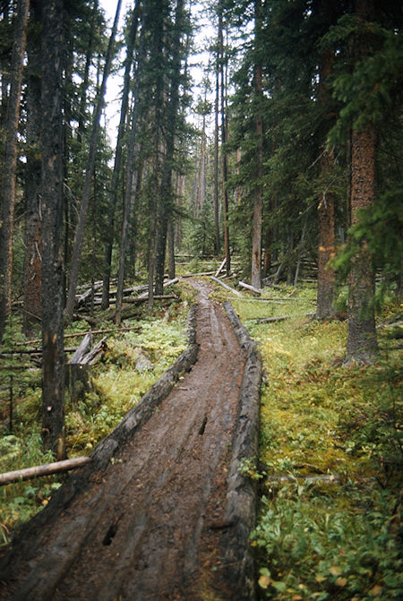 The trail to Three Forks Park - Wind River Range 1977 The trail to Three Forks Park - Wind River Range 1977