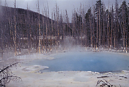 Cistern Spring, Norris Geyser Basin, Yellowstone National Park