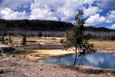 Black Opal Spring, Bisquit Geyser Basin, Yellowstone National Park